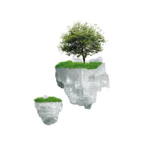 illustration terra salina îlot arbre