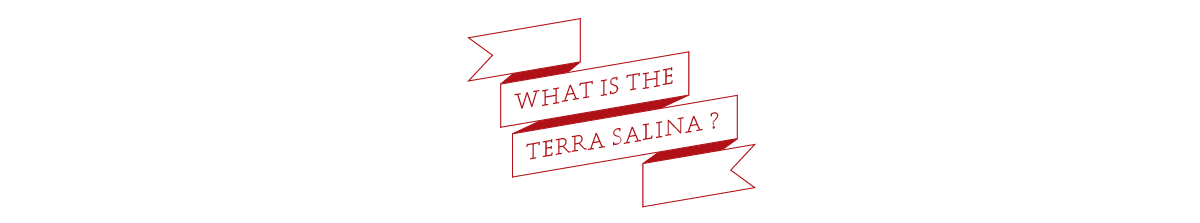 What is the Terra Salina?
